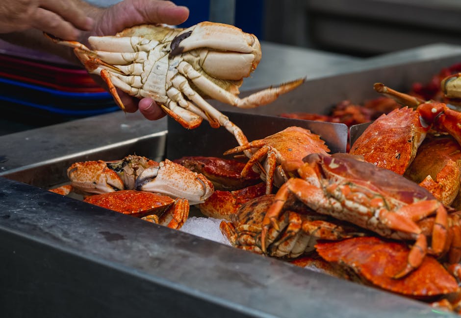 Crab Imperial